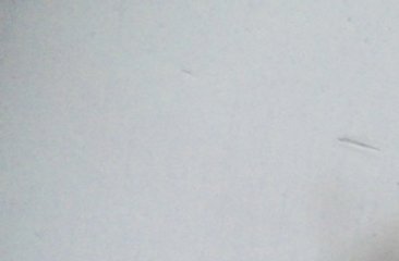 Jagat Jung Rana. heritage knives Nepal, kukri, khukuri history and heritage, National Museum collection. Nepal Khukuri Gallery 4. Thapa and Rana Era. 19th century. Nepaul. semi-custom knife maker, National arsenal museum of Nepal, kathmandu, gallery collection of antique weapons. history and heritage series, palace, durbar, notes, blades, swords, battles, war, gorkhali, malla, gurkhas, gorkha, military history, army, british, india, tibet, china, colonial, mir kasim, sino-nepal war, conquest of Kathmandu, Bhaktapur, malla kings, ochterlony, young, fraser, thappa, balbhadra, bulbudder kunwar, amar singh thapa, jung bahadur rana, bir Narsingh kunwar, chandra Shumsher rana, maharaja, king, raja, tulwar, kora, axe, katar, chinese, mughal, indian, european, chandra shumsher, prithivi shah, prithvi narayan, nayan singh, kaji, bhimshen thapa, mukhtiyar, prime minister, jagat jung, bir shumsher, dev sjb rana, jit jung rana, mathber singh thapa, abhiman singh basnyat, kami, brahmin, thakuri, chettri, magar, gurung, tamang, kami, dalit, muslim, hindu, buddhist, Tibetan, art, art work, traditional weapons, Asian, Himalayas, ww1, ww2, world war, british empire, anglo-gorkha, anglo-nepal war, Khalanga Nalapani, Jaithak, Sirmoor, Nusseree, devi dutta, purano gorakh, sri nath, rifles, guns, London, traditional, Dravya shah, liglig kot, Lamjung, kirant, kirat, newar, Chaubise, baise, Tibet, Himalayan, kilatools.com, ang khola, papu, purano, sirupate, Budhume, Bhojpure, bas pate, style, broad belly, army issue, historical, old, image, photo, chirra, Hanshee, Lambendh, curved, antiques, reproduction, Gorakhnath, myth, legends, kaji, khanda, walled city, defence, attack, pesh kabz, handle, wood, kinloch expedition, knox mission, patan, british east india company. bravest of the brave. house regiment, producer, manufacturer, research. jugat. indian mutiny. 